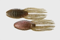 ylR|XΏەizWbJ qu-cqhesbq`vihtgN[j SC` UKj