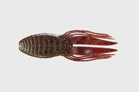 ylR|XΏەizWbJ qu-cqhesbq`vihtgN[j SC` R[VgXt[N