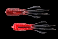 �y�l�R�|�X�Ώەi�z�W���b�J�� RV-���b�V���A���[ 3.8�C���` �A�J�K�G��