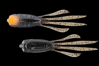 ylR|XΏەizWbJ RV-bVA[ 3.8C` OpoO