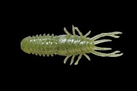 �y�l�R�|�X�Ώەi�z�W���b�J�� ��������60 ���G�r�������y���������z