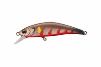 �y�l�R�|�X�Ώەi�zTIMON(�e�B����) �g���R���[��GT 56SR-F �S�㈼ ���