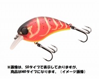 WbJ }bV{u 50 MR XpCXbhN[