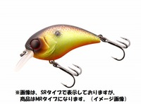 WbJ }bV{u 50 MR }bfB`[gtBbV