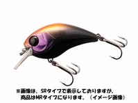 WbJ }bV{u 50 MR JV}㖾ŃubN