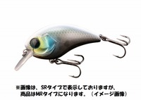 WbJ }bV{u 50 MR JV}Ń{[