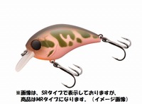 WbJ }bV{u 50 MR JV}cL[