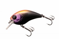 WbJ }bV{u 50 SR JV}㖾ŃubN