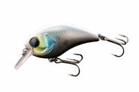 WbJ }bV{u 50 SR JV}Ń{[