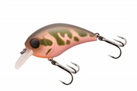 WbJ }bV{u 50 SR JV}cL[