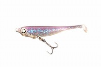 ylR|XΏەizWbJ WF[T[fB 55 Vbhe[