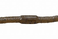 ylR|XΏەizWbJ tbNVFCN 4.8C` O[pvLybp[yz