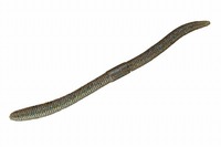 ylR|XΏەizWbJ tbNVFCN 4.8C` OpSr[yz