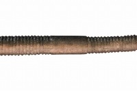 �W���b�J���@�t���b�N�V�F�C�N�@�S�D�W�Q�g�[���@�i�`�������^�v���u���[