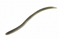 ylR|XΏەizWbJ tbNVFCN 4.8C`2g[ }n^Vbh