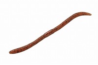 ylR|XΏەizWbJ tbNVFCN TCg}WbN3.8 Gr~\bht[Nyz