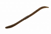 ylR|XΏەizWbJ@tbNVFCN@TCg}WbNRDW@Qg[@rjOp^p[yz