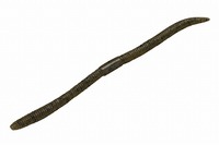 ylR|XΏەizWbJ tbNVFCN TCg}WbN4.8 O[pvLybp[yz