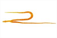 WbJ@rr@[lN^C@cCe[@GrIW