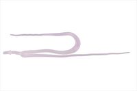 WbJ@rr@[lN^C@cCe[@PC@CJp[