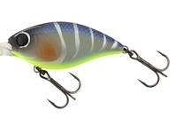 ylR|XΏەizWbJ@ubNbp[@SWrq@oo^N݃N[