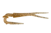 ylR|XΏەizWbJ@XyA[e[@iMTUTpiR{j@NA[uE