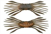 ylR|XΏەizWbJ@htgNu 45 X|[M