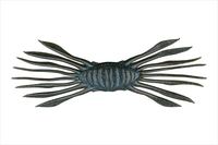 ylR|XΏەizWbJ@htgNu 45 _[NOpu[t[N