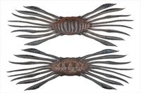 ylR|XΏەizWbJ@htgNu 45 ViEVv