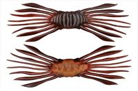 ylR|XΏەizWbJ@htgNu 45 TKjyz