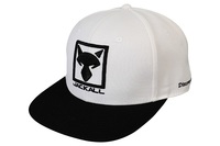 WbJ XNGAStbgLbv zCg/ubN