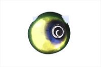 �W���b�J�� �^�C���o �⃉�o TG�r���r���ʃX���C�h�w�b�h�l�I 45g �O���[���S�[���hNEO�y���������z