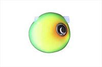 WbJ ^Co ⃉o TGrrʃXChwbhNEO 30g zbg`[g