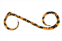 WbJ ^Co ⃉o rrXCb`T+lN^C fAJ[[ V}V}IWyz