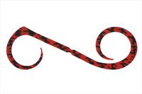 WbJ ^Co ⃉o rrXCb`T+lN^C fAJ[[ V}V}bhyz