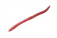 WbJ [ tbNVFCN 2.8C` y~~Y