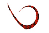 WbJ ^Co ⃉o rrXCb`T+lN^C }X^[J[[ V}V}bhyz