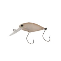 fINtg×eB gEgvO J DR 2tbN(SS) TIMON ver. `F[{{