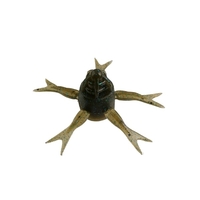 �W���b�J�� ���[�� �W�~�[�w���W 50 �O���p���S�r�[