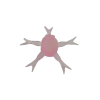 �W���b�J�� ���[�� �W�~�[�w���W50 �}�[�u���X�e���X�s���N