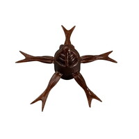 WbJ [ W~[wW42 p[\g XJbpm