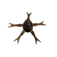 WbJ [ W~[wW42 p[\g W~[Op