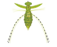 �G�o�[�O���[�� �M�Y�� #04 �o�b�^