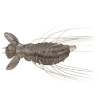 �G�o�[�O���[�� ���[�� �G�o�[�O���[�� �t���b�^�[�M�Y�� #172 �R�G�r