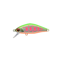 �y�l�R�|�X�Ώەi�z�A���Y�f�U�C�� (ima)�@���A�[�@�����������@�S�T�r�@�l�`�w�@���u�L