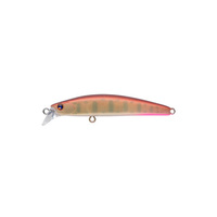 �A���Y�f�U�C�� (ima)�@���A�[�@�s�������@�U�O�@�p�[�����}��