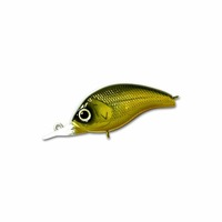 deps(�f�v�X) �R���K��-MR #01 GM�N���L���y���������z