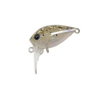 �f�B�X�v���E�g �g���E�g�v���O �A�b�p�[���uSSS AP-03 ���W�F���[�g