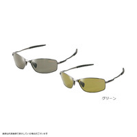 ܂@flPVTR@ΌTOX@O[