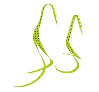 がまかつ タイラバ 鯛ラバ 桜幻 シリコンネクタイ スリットカーリー #36 チャート/ブラックスポット